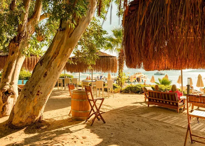 Отель Tui Blue Grand Azur 5*