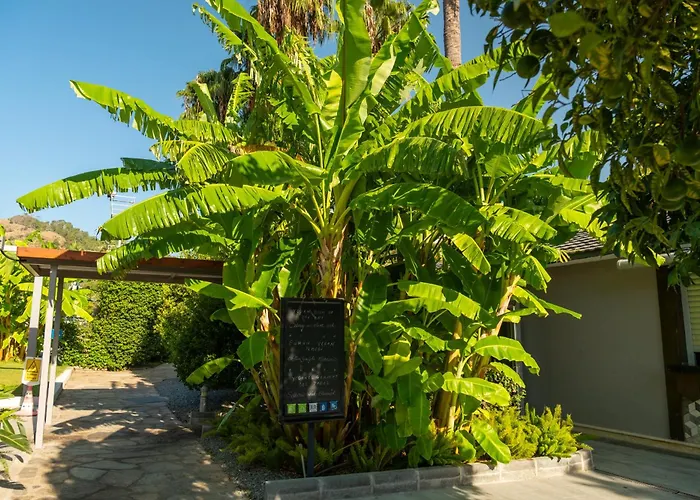 Tui Blue Grand Azur Marmaris